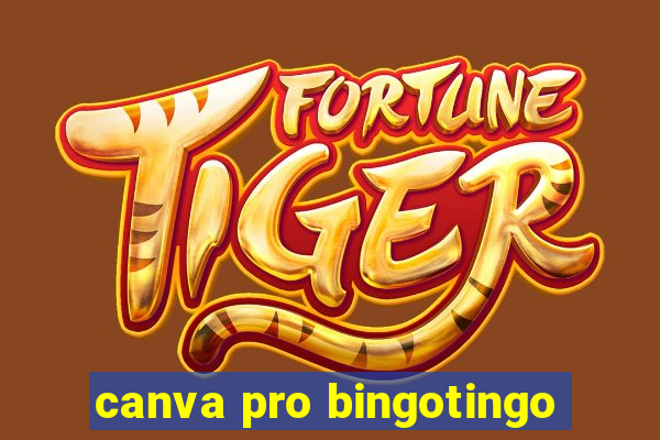 canva pro bingotingo